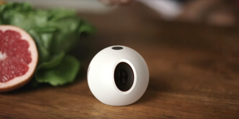 One X: monitor in real-time the impact of your diet and lifestyle on your body