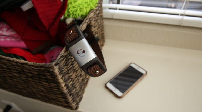 Waggit: the dog collar that helps detect illness