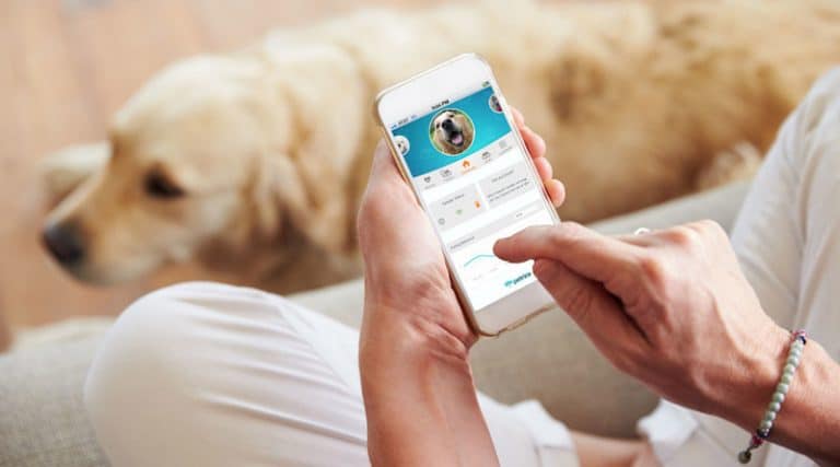 Petrics: a smart, climate controlled bed and health ecosystem for your pet