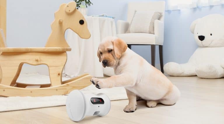 VARRAM Pet Fitness: a smart robot companion for your pet