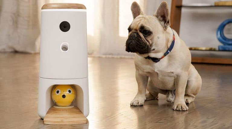 Pupple: play, treat and watch your pet remotely