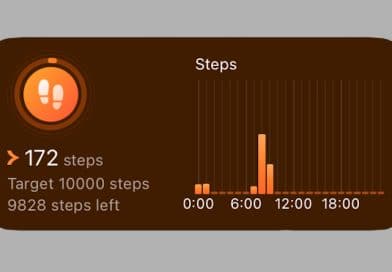 Zepp app gets an iOS widget, here’s how to activate