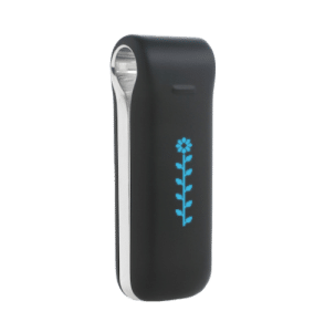 Fitbit-Classic-1