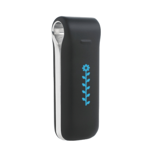 Fitbit-Classic-1