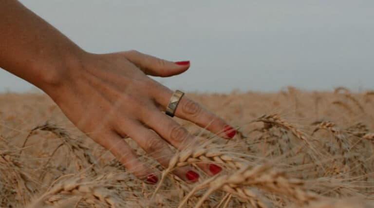 Noise Luna ring makes its debut on Indiegogo