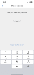 Garmin expands passcode feature beyond Garmin Pay: Here's how it works