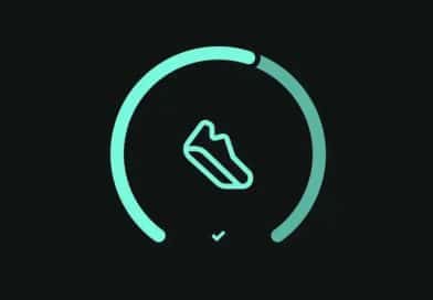 Fitbit Dark Theme