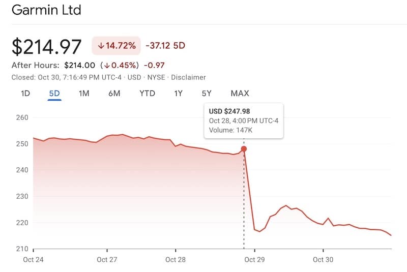 Garmin share price decline