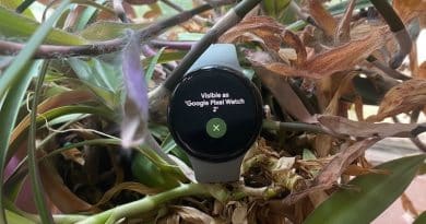 Google Pixel Watch 2 heart rate broadcast