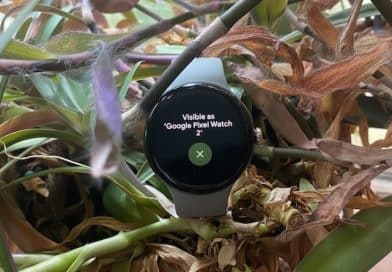 Google Pixel Watch 2 heart rate broadcast