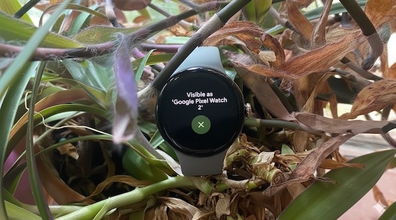 Google Pixel Watch 2 heart rate broadcast