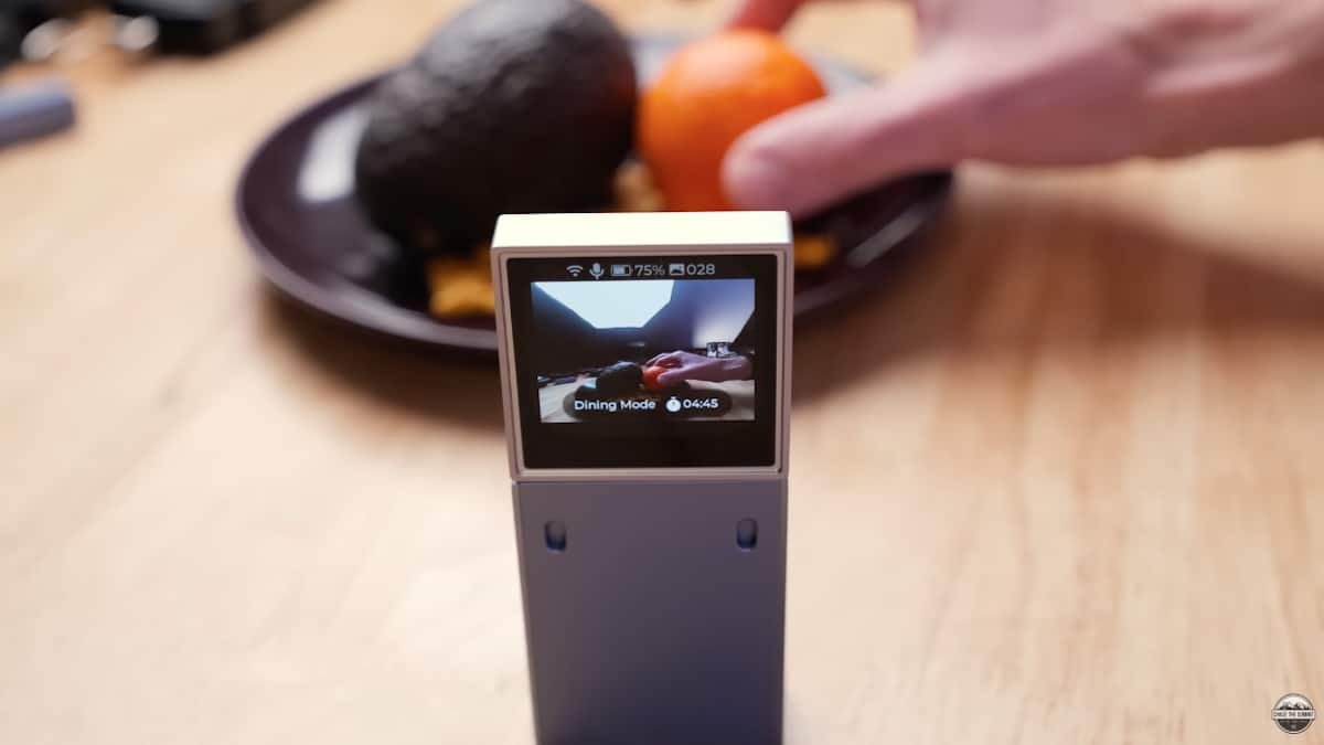 Amazfit V1Tal