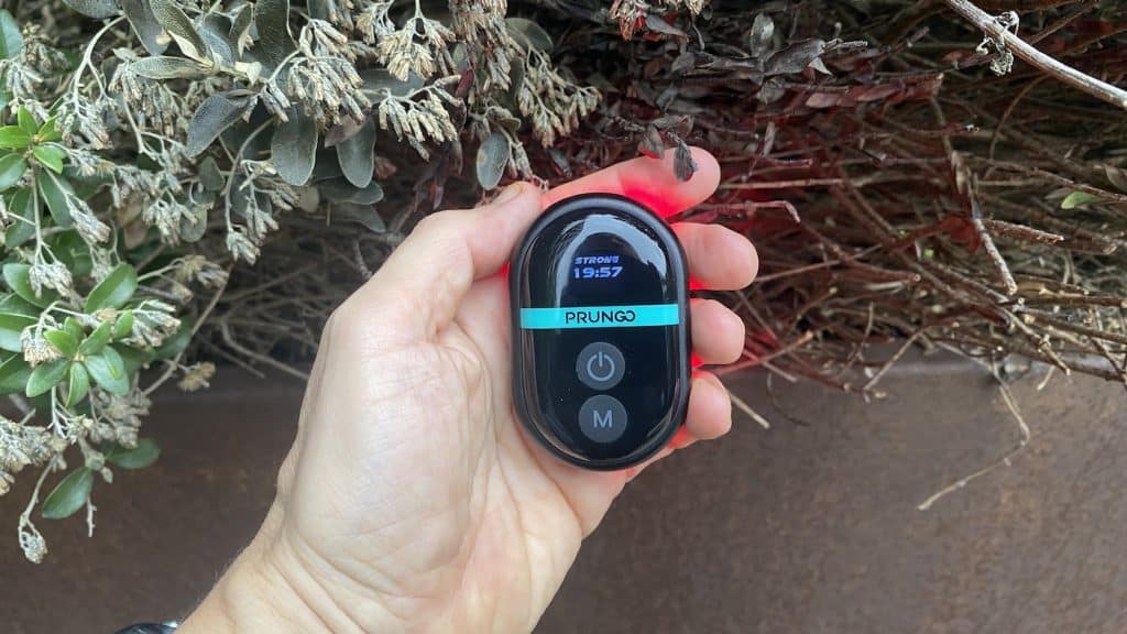 PrunGo FluxGo red light in hand