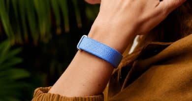 Fitbit Air