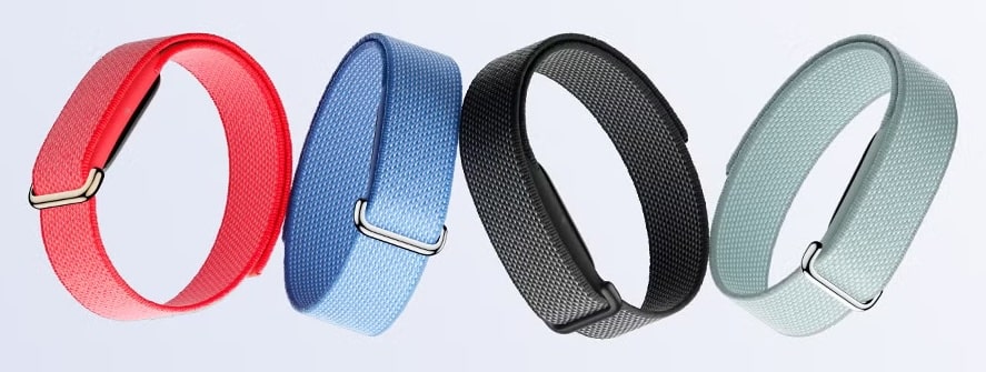 Google Fitbit Air