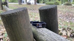Xiaomi Smart Band 10