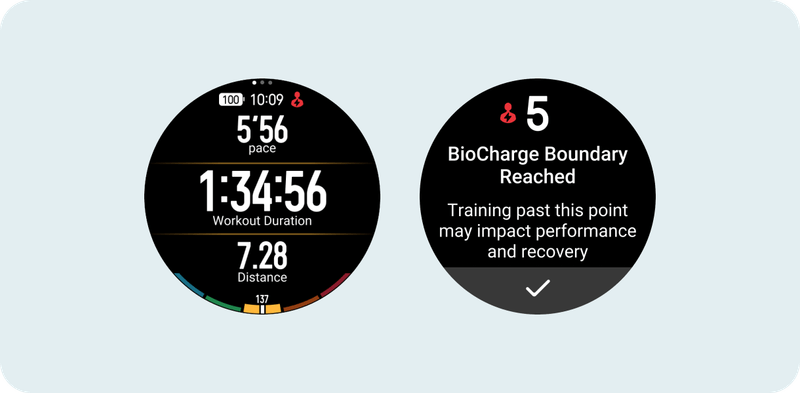 BioCharge boundary