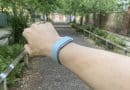 Fitbit Air