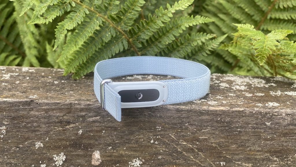 Fitbit Air