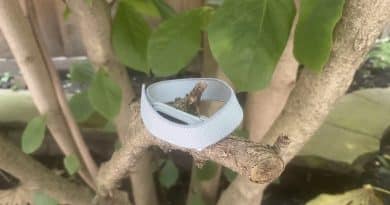 Fitbit Air
