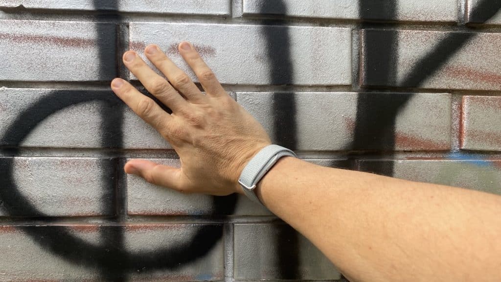 Fitbit Air