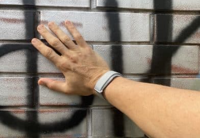 Fitbit Air