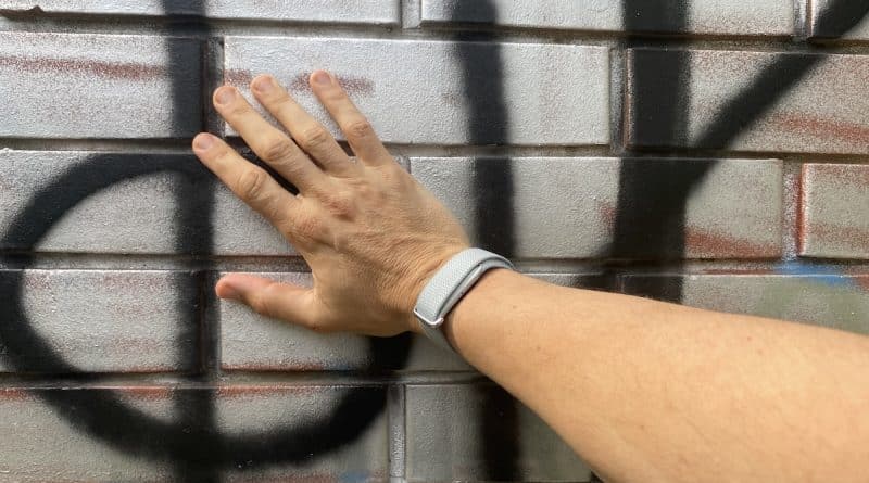 Fitbit Air