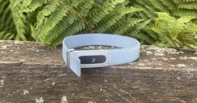 Fitbit Air