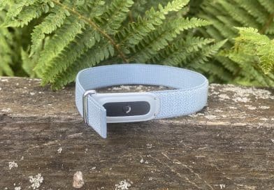 Fitbit Air