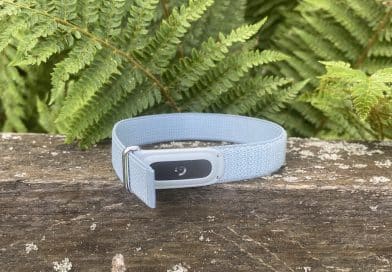 Fitbit Air review