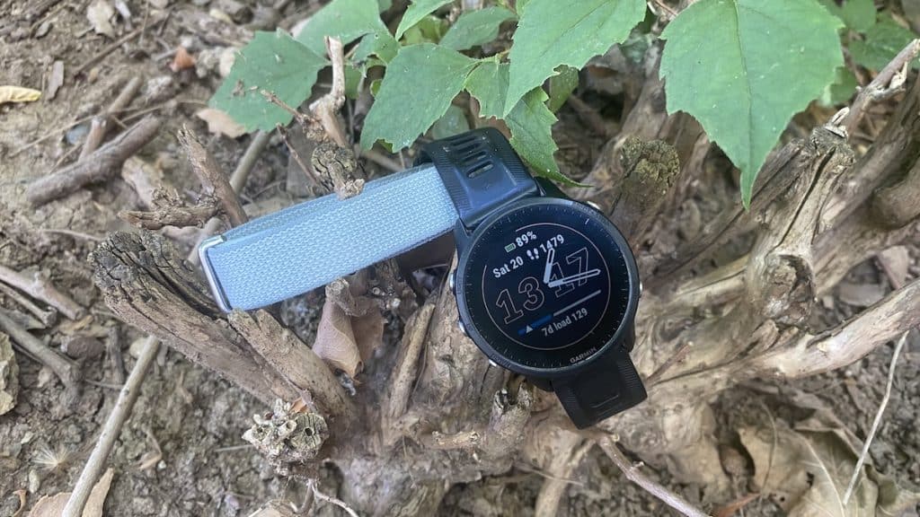 Garmin Forerunner and Fitbit