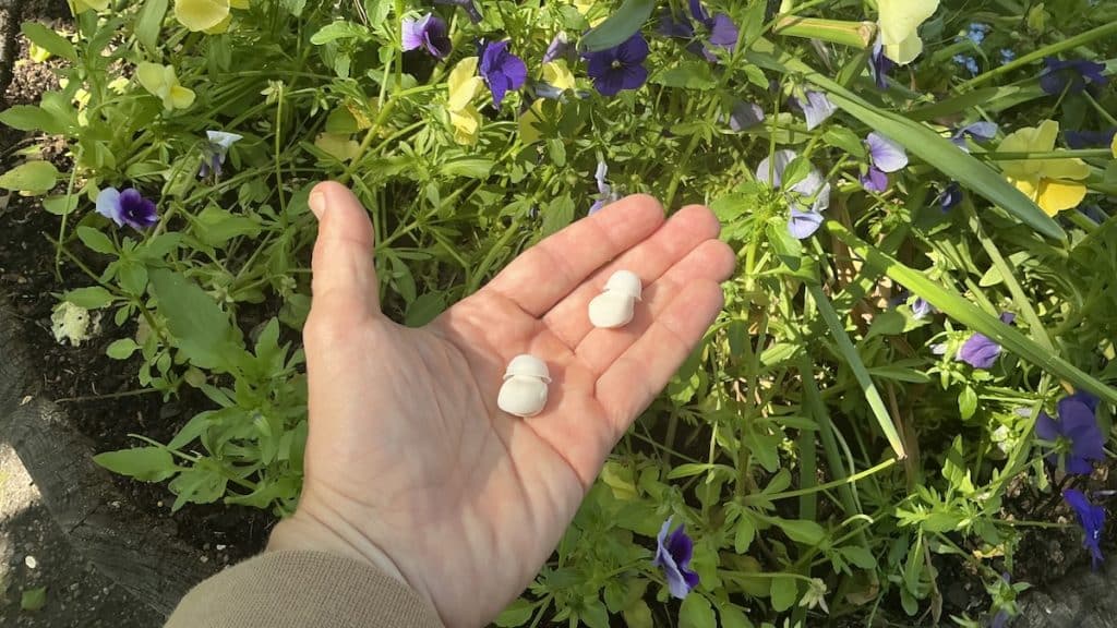 SomniPods 3