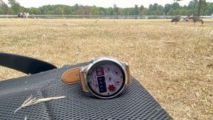 Honor Watch 6 in field