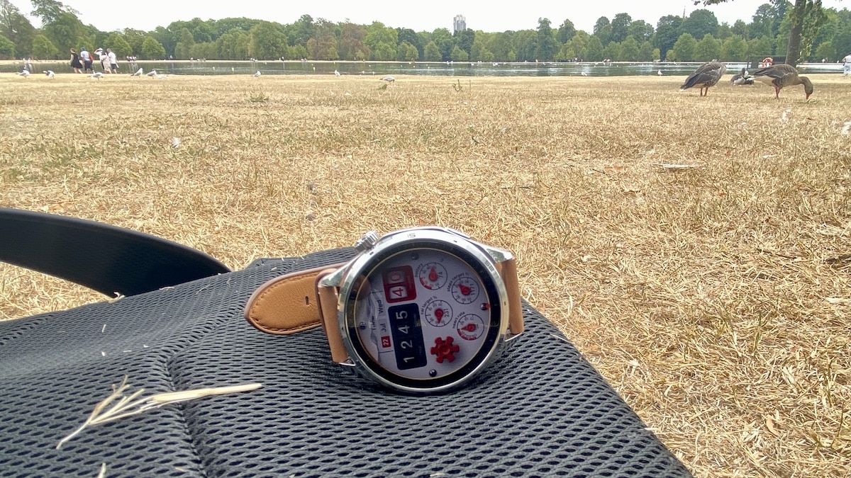 Honor Watch 6 in field
