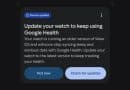 Google Pixel Watch 1 warning