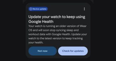 Google Pixel Watch 1 warning