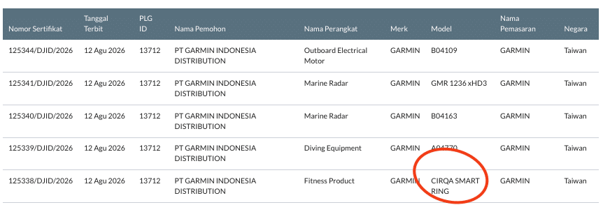 CIRQA Smart ring