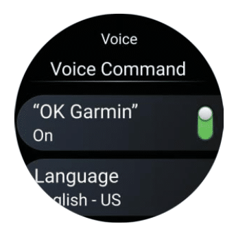 Garmin voice command