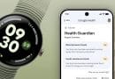 Google Health Guardian