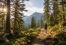 Person walking through forrest