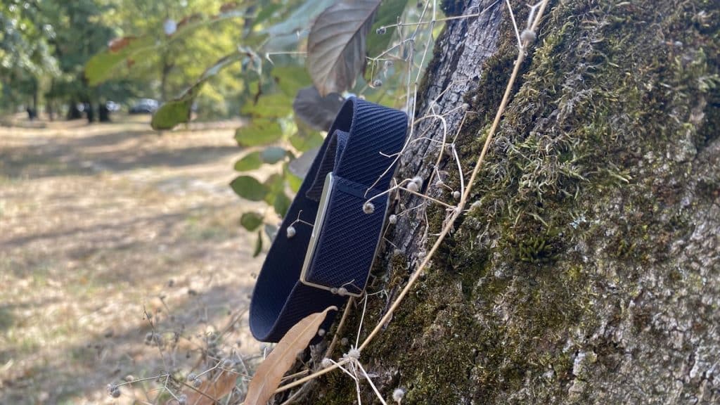 Speediance Strap review