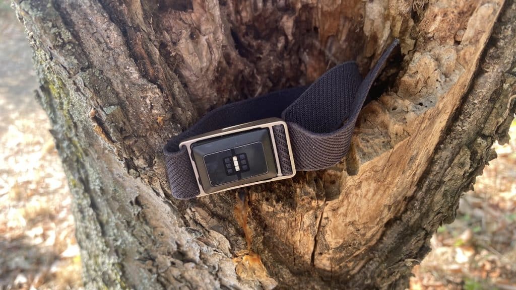 Speediance Strap review