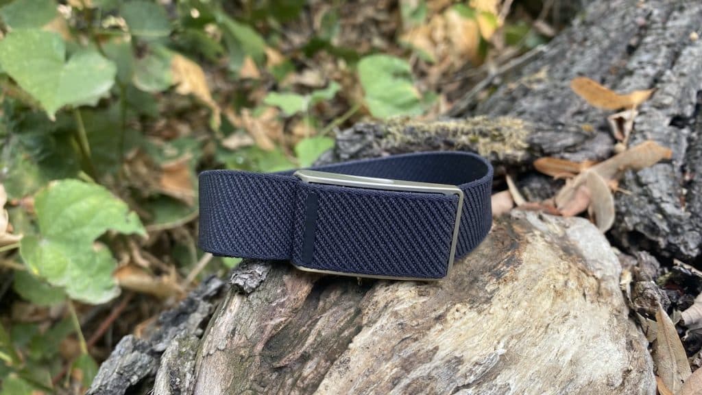 Speediance Strap review