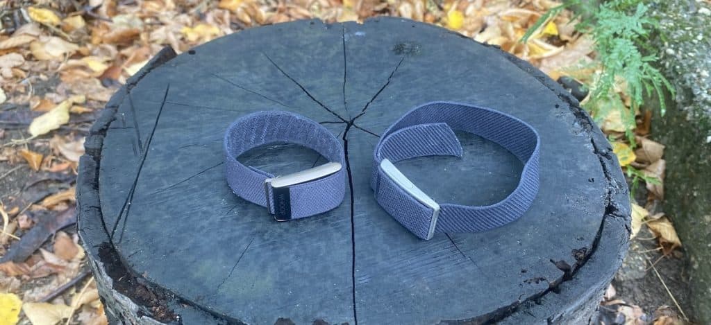 Speediance Strap vs Whoop