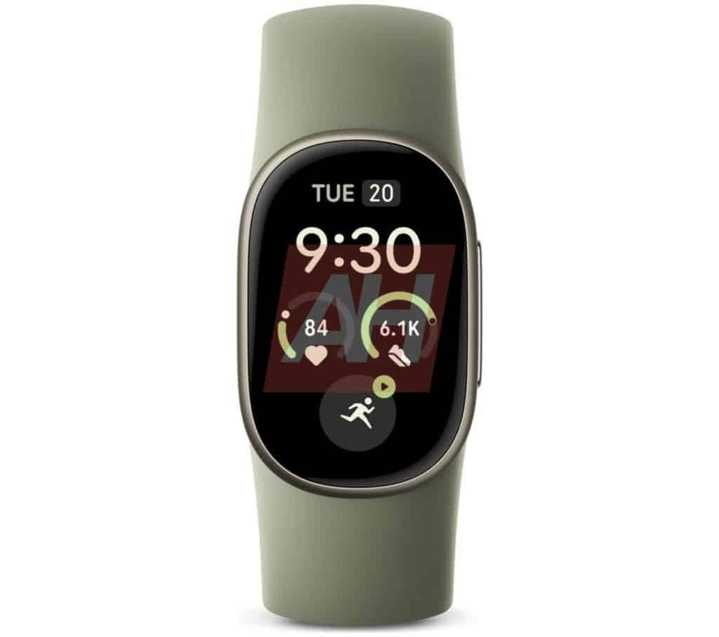 Google Fitbit Edge
