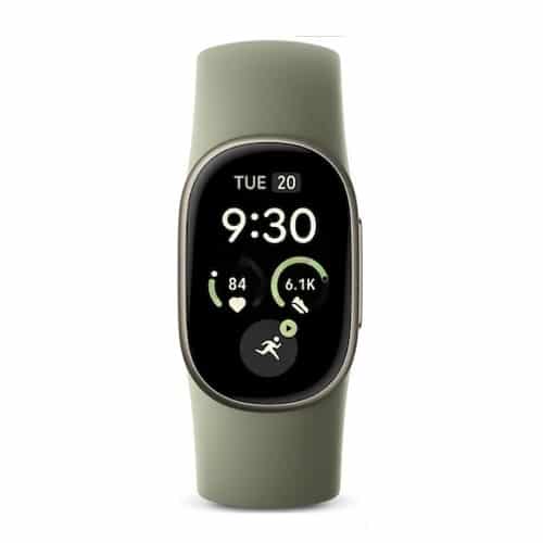 Google Fitbit Edge